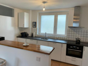 Wohnen auf Zeit in Mainz, große, helle Wohnung, Uni Nah